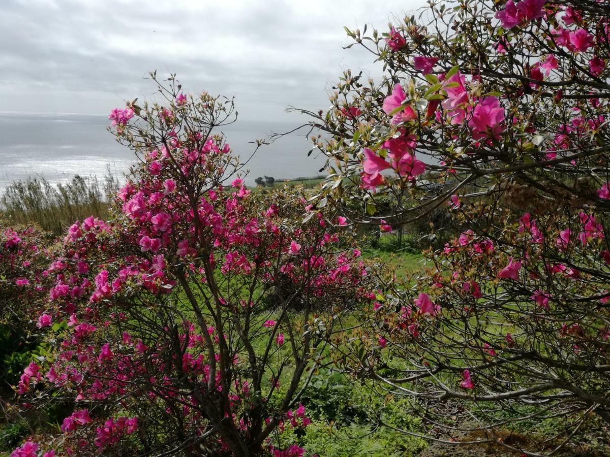 Quinta Do Sol Poente Villa Feteiras Dış mekan fotoğraf
